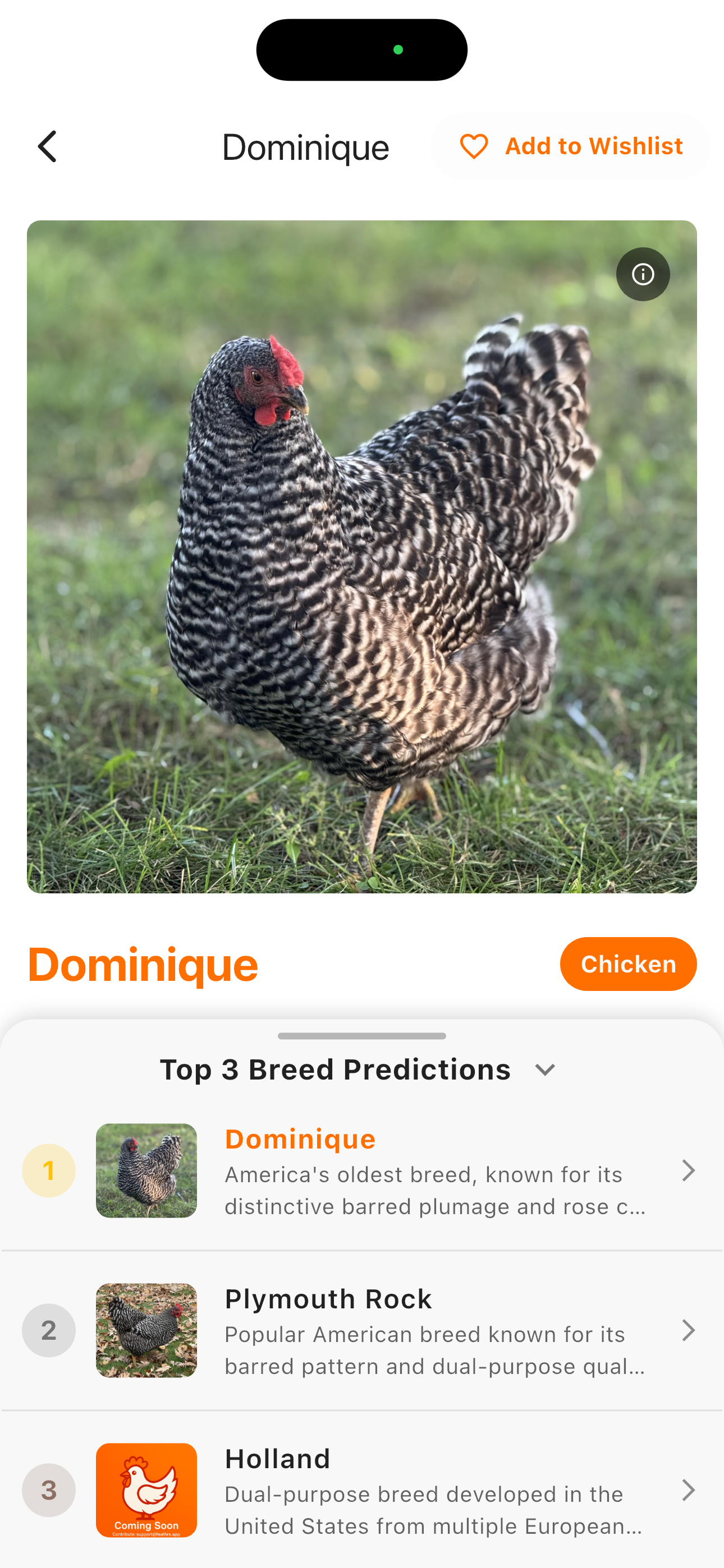 Social community screen