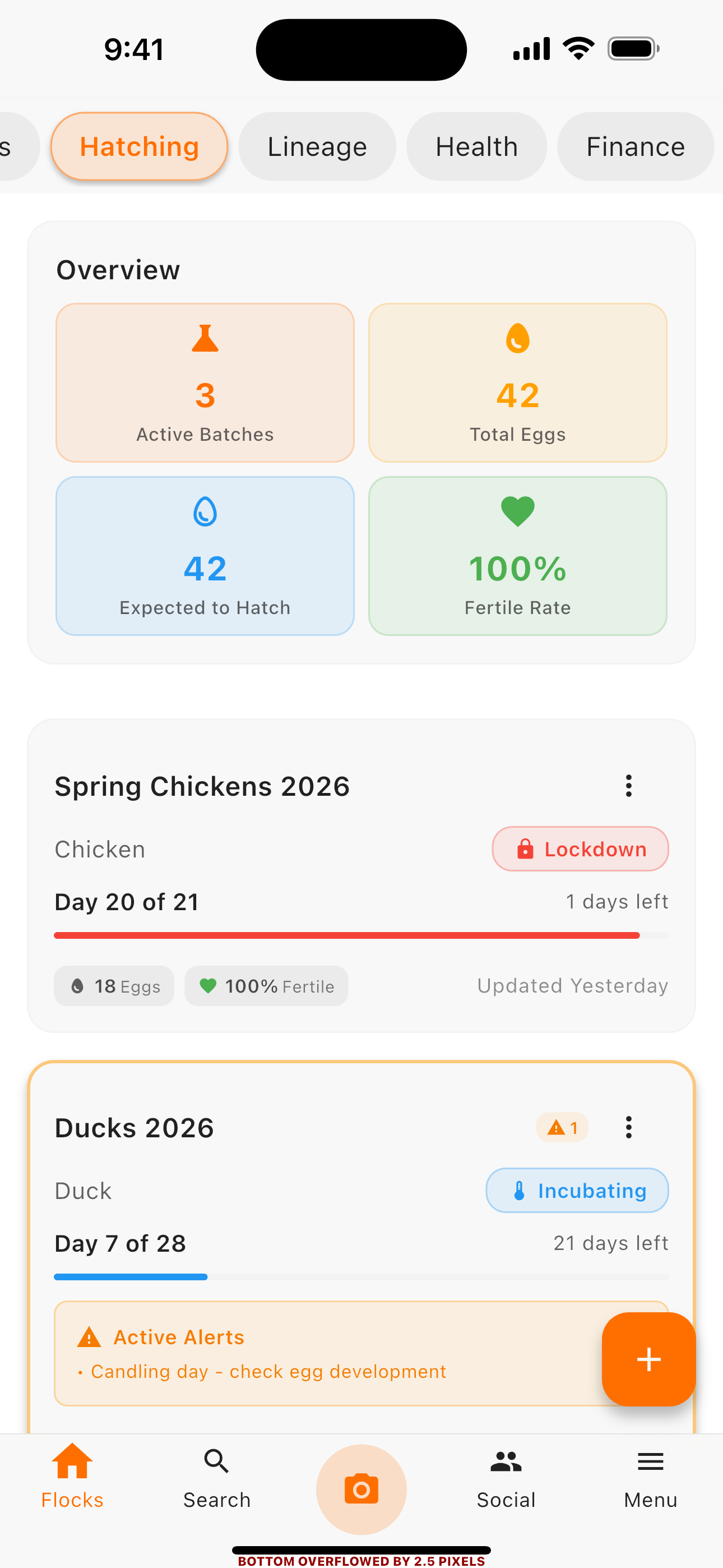 Social community screen