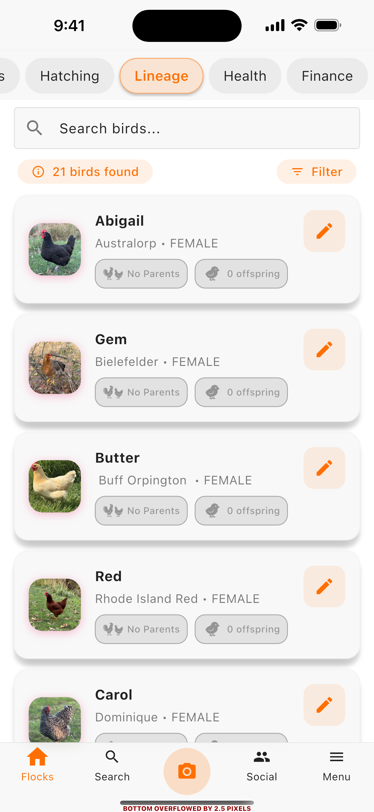 Social community screen